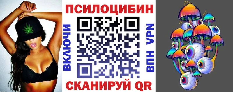 как найти закладки  Полтавская  Псилоцибиновые грибы мицелий 